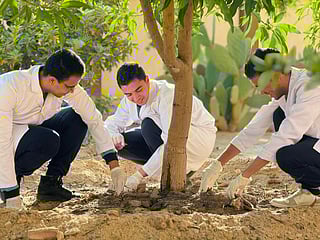 More projects funded as award shifts focus to scaling real-world impact.