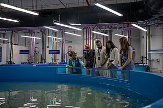 Atlantis Dubai remains committed to operating at the highest global standards