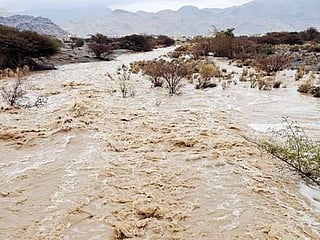 Heavy rains trigger flash floods across Oman