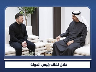 UAE, Ukrainian Presidents discuss regional developments