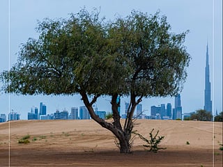 In Pictures: Dubai like you've never seen it before