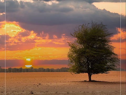 New visuals reveal a softer, more atmospheric side of the city.