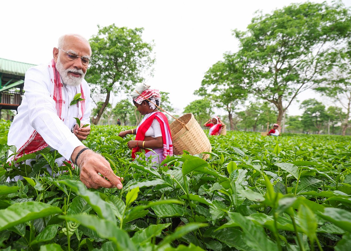Prime Minister Narendra Modi began his day in Assam’s Dibrugarh with a warm and engaging visit to a tea garden, creating memorable moments with workers who form the backbone of the state’s iconic industry. Interacting closely with women workers, he highlighted the global reputation of Assamese tea and praised their dedication and perseverance. Calling tea the “soul of Assam,” Modi shared glimpses of leaf plucking, cultural exchanges and cheerful selfies on social media.