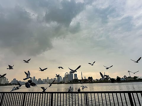 UAE weather forecast: Fog, dust, rain and rough seas expected as pressure systems converge