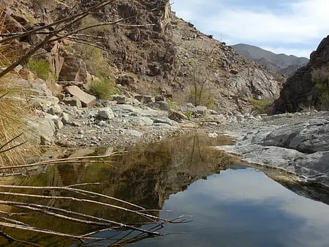 12-year-old boy drowns in Sharjah wadi; police issue urgent warning to parents