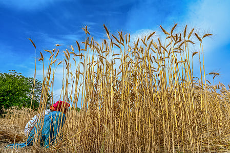 Among the directly impacted sectors are farmers and fishermen, leading to anticipated global shortages in the coming months