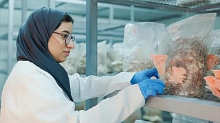 Students lead research turning agricultural waste into sustainable crops.