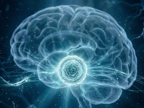 Abu Dhabi advances brain stem cell research using patient’s own cells