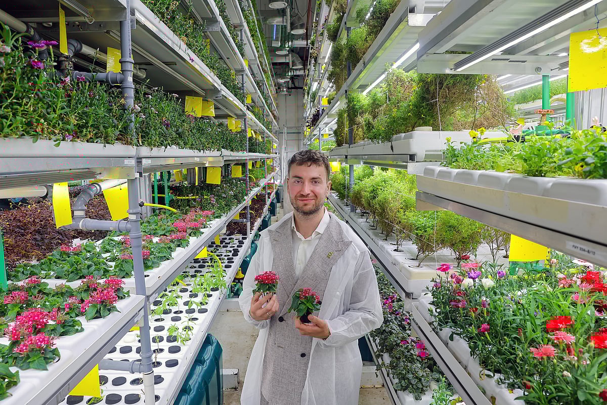 Wie Greeneration anstrebt, die Ernährungssicherheit der VAE zu verbessern Wie Greeneration anstrebt, die Ernährungssicherheit der VAE zu verbessern