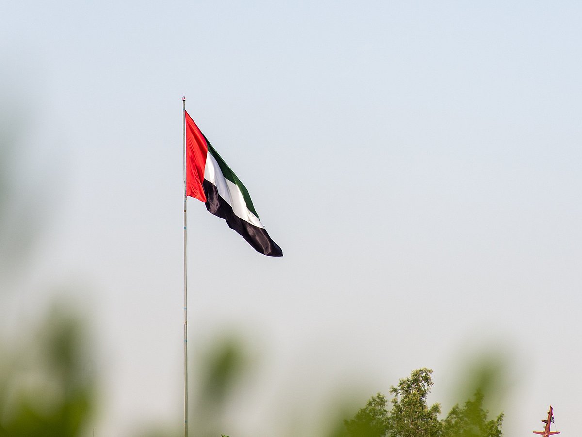 UAEflag
