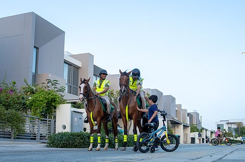 379 mounted police patrols rolled out in Dubai in early 2026 to enhance public security