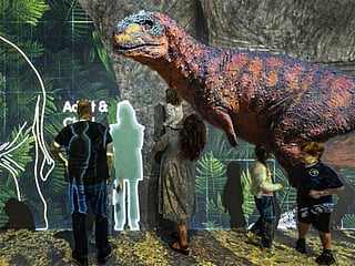 Jurassic fossils reimagined as art in Amsterdam