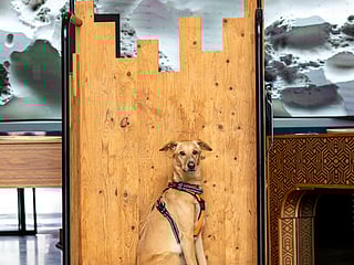 Sawyer a UAE story about second chances 