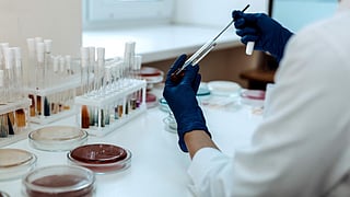 Emirati Genome Programme data drives early detection of inherited eye diseases