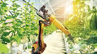 AI and smart sensors help boost food production and sustainability.
