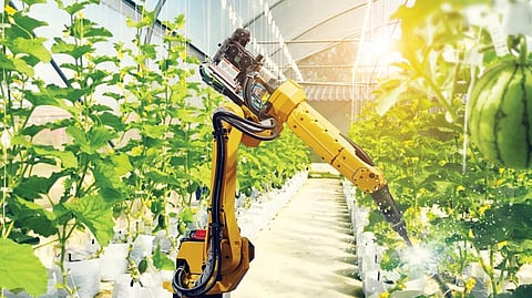 AI and smart sensors help boost food production and sustainability.