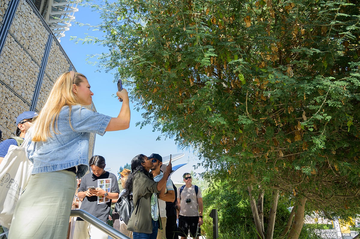 The City Nature Challenge runs from 24 to 27 April