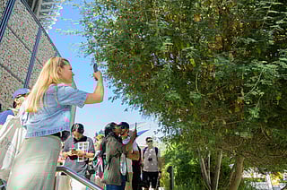 The City Nature Challenge runs from 24 to 27 April