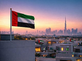 UAE crisis resilience drives global stability standards