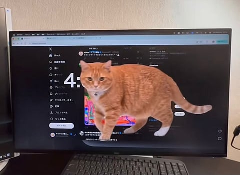 Can a virtual ginger cat stop your doomscrolling addiction? This extension thinks so