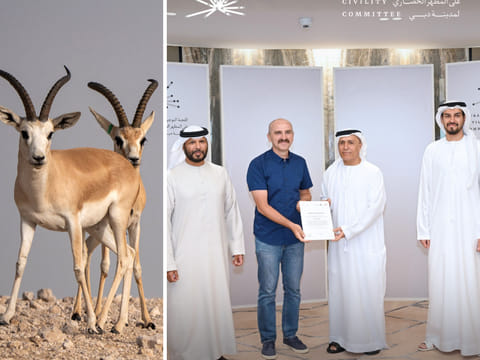 Dubai cyclist praised after reporting injured gazelle on track
