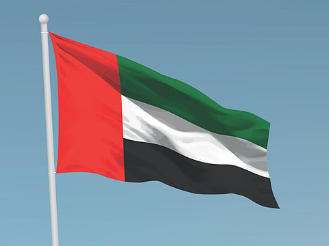 UAE establishes national committee to document Iranian aggression, international crimes