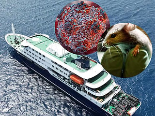 The MV Hondius cruise ship, site of the recent 'Andes' hantavirus strain outbreak. The ship sails Antarctic routes.

