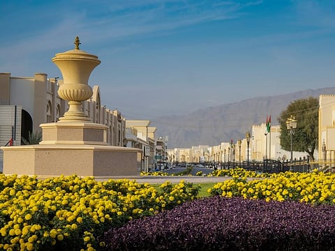 According to the municipality, the planting campaign included 44,850 seasonal flowers in addition to ground covers, shrubs and trees distributed across residential districts and public areas in Dibba Al Hisn.