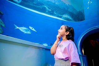 Visitors enjoy Sharjah Museum Day celebrations and exhibitions