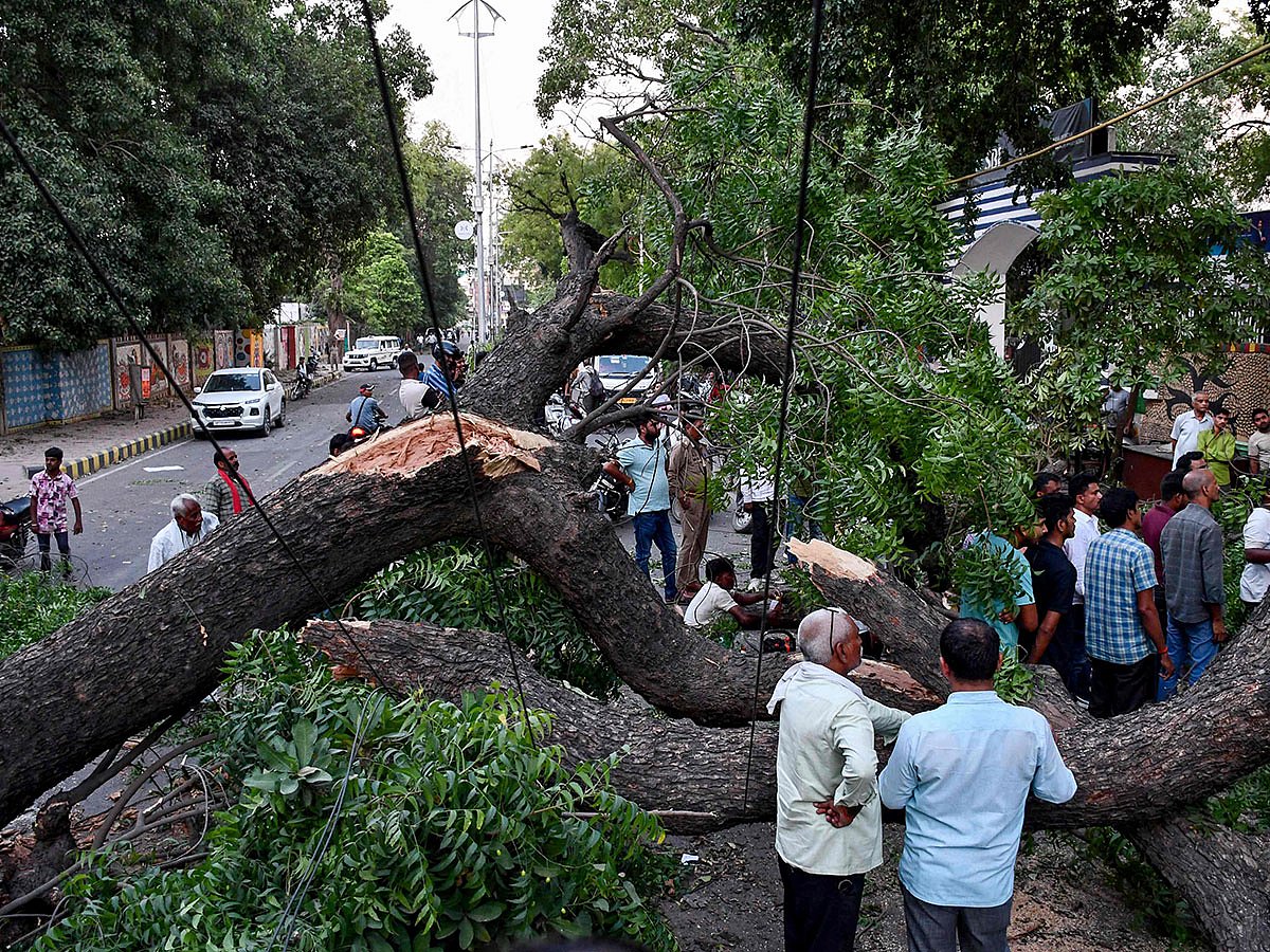 Residents watch as rescue workers clear the area of uprooted trees after strong winds and a storm in Prayagraj on May 13, 2026. 