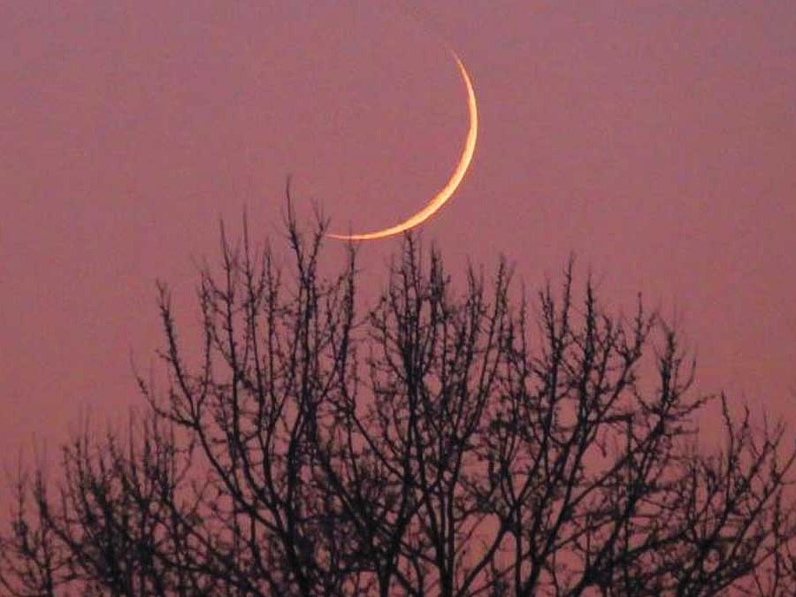 The court urged anyone capable of sighting the crescent moon to participate in the official moon-sighting committees formed across the Kingdom