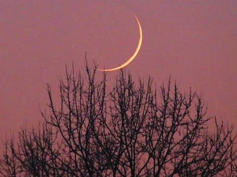 The court urged anyone capable of sighting the crescent moon to participate in the official moon-sighting committees formed across the Kingdom