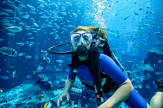 Most guests never know it exists,  but beneath Atlantis Dubai lies a round-the-clock marine facility breeding sharks, growing coral, and returning native species to the Arabian Gulf