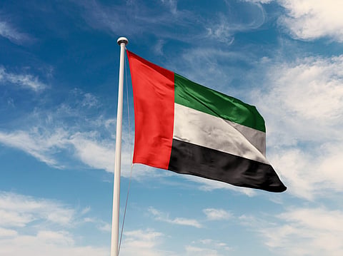 UAE condemns terrorist targeting of Barakah Plant perimeter