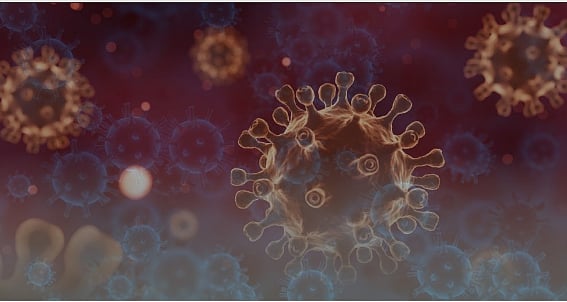 UAE enhances monitoring, coordination to tackle potential Ebola outbreaks