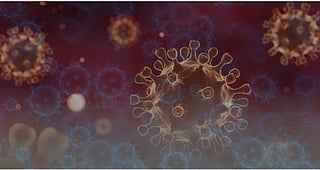 UAE confirms readiness of health surveillance system to monitor Ebola developments