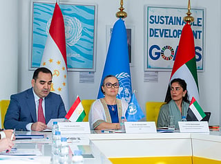 UAE, Tajikistan push global cooperation before Dushanbe