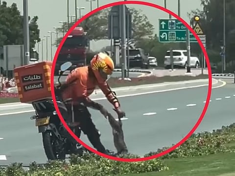 Talabat delivery rider was filed as he removed a dead cat from the middle of a busy road and carrying it to a safer place.
