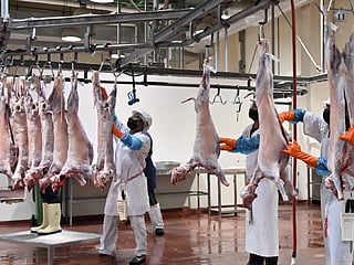 The ministry urged residents to purchase sacrificial animals only from approved and licensed outlets to ensure they are healthy and free from disease.