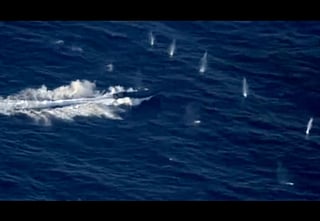 Warning shots create large splashes near the fleeing vessel before it was halted. Over a ton of cocaine was seized from suspects on board a go-fast boat following a high-speed chase across open ocean off Panama under the US Southern Command.