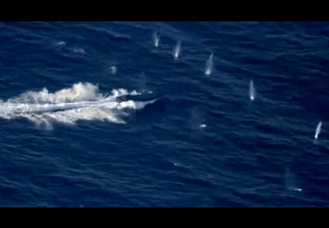 Warning shots create large splashes near the fleeing vessel before it was halted. Over a ton of cocaine was seized from suspects on board a go-fast boat following a high-speed chase across open ocean off Panama under the US Southern Command.
