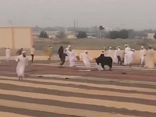 A runway bull attacked worshippers during Eid Al Adha prayers in Al Buraimi in Oman.