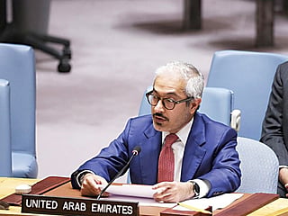 Abushahab said the UAE is committed to a future based on stability, dialogue and shared prosperity. 
