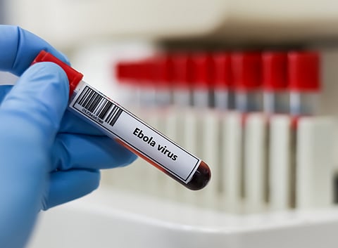 The escalating nature of the Ebola outbreak has sparked a race to find a vaccine that can be quickly developed, manufactured then tested in humans during clinical trials in the affected region.