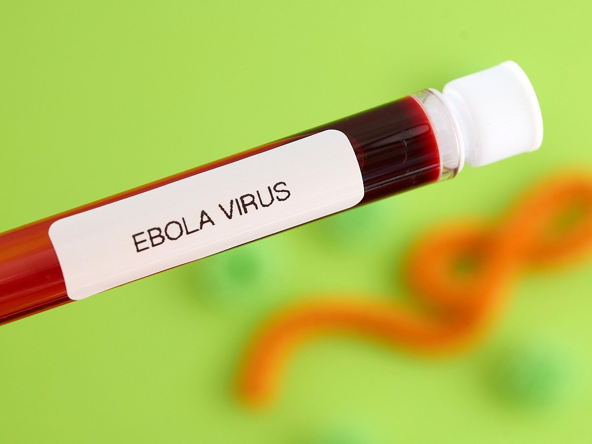 Ebola2026
