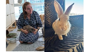 Left: Katayune Ehsani with her foster bunny, Frankie. Right: Mike Dawson's rabbit, Amber. 