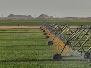 How UAE food supply chains avoided disruption