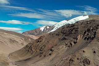 Findings help explain how the species can live from coastal deserts to volcano summits exceeding 6,700 metres.