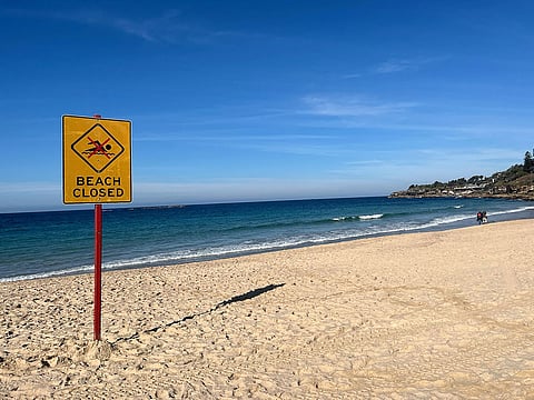 Woman critically injured after shark attack at Australia's Coogee Beach