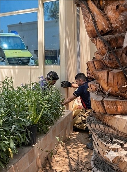 Sharjah civil defence rescues cats trapped in drainage pipe in Al Yash area